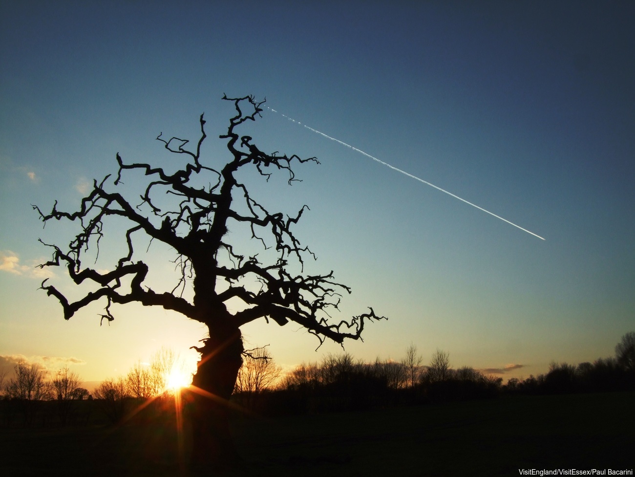 Business Travel Arbeitsanreize in Schottland - Flug nach Hause