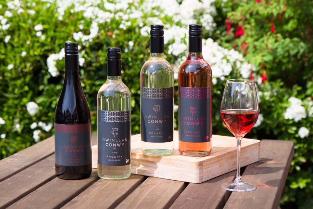 Business Travel Team Building in Schottland, Conwy Welsh Vineyard, Wales